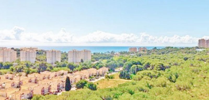 Apartmán 3+kk Orihuela Costa-Dehesa de Campoamor, Španielsko - 14