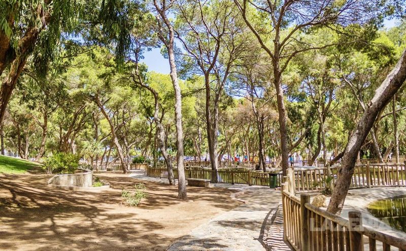 Apartmán 2+kk, Alicante-Guardamar del Segura, Španielsko - 8