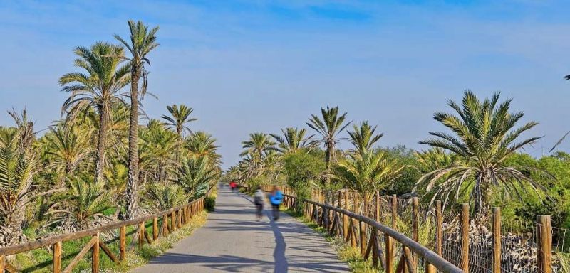 Apartmán 2+kk, Alicante-Guardamar del Segura, Španielsko - 9