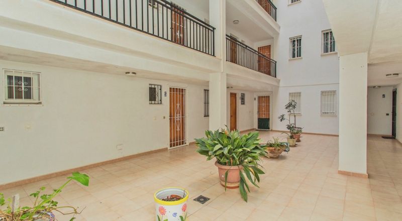 Apartmán 2+kk s bazénom Torrevieja-La Mata, Španielsko - 16