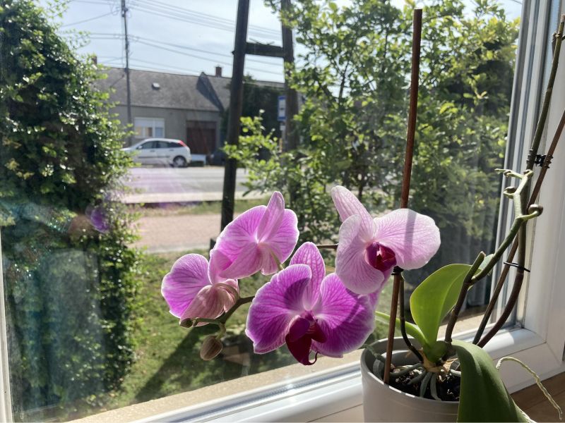 PREDAJ rodinný dom Bezenye - 2