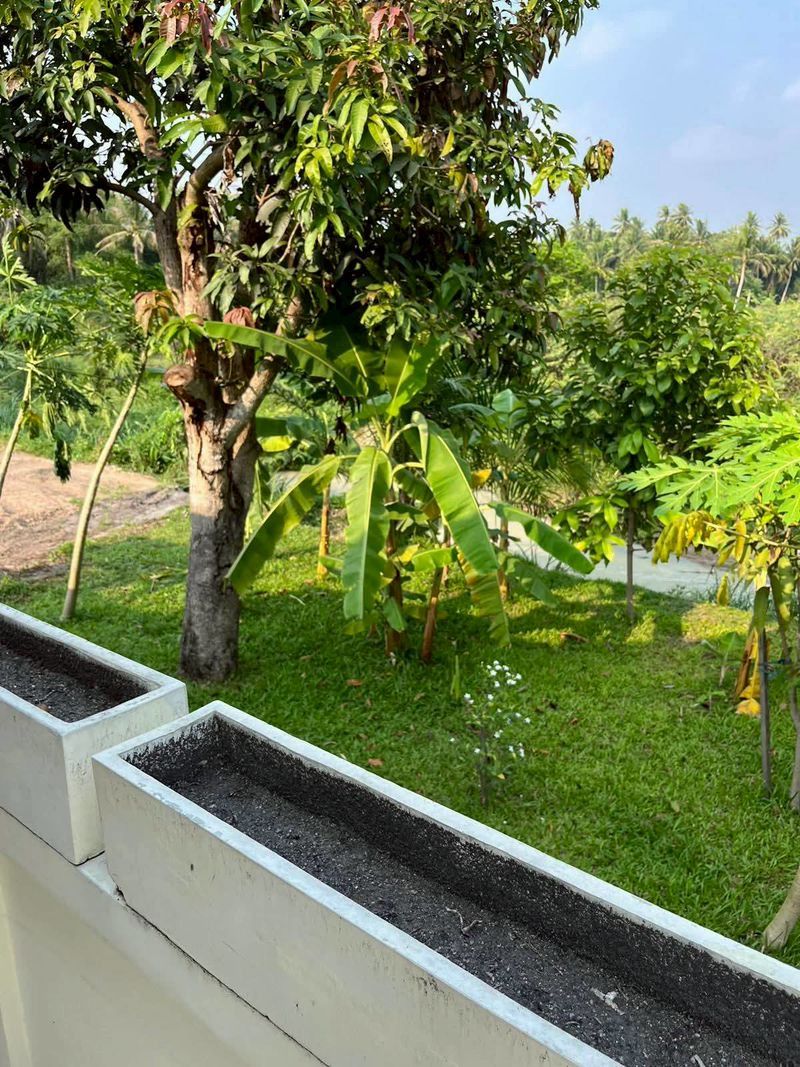 Thajsko-4 izbová vila s bazénom-Takhian Tia Pattaya - 6