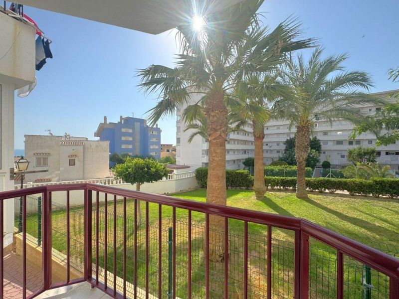 Apartmán 2+kk Torrevieja-Torreblanca, Španielsko - 19