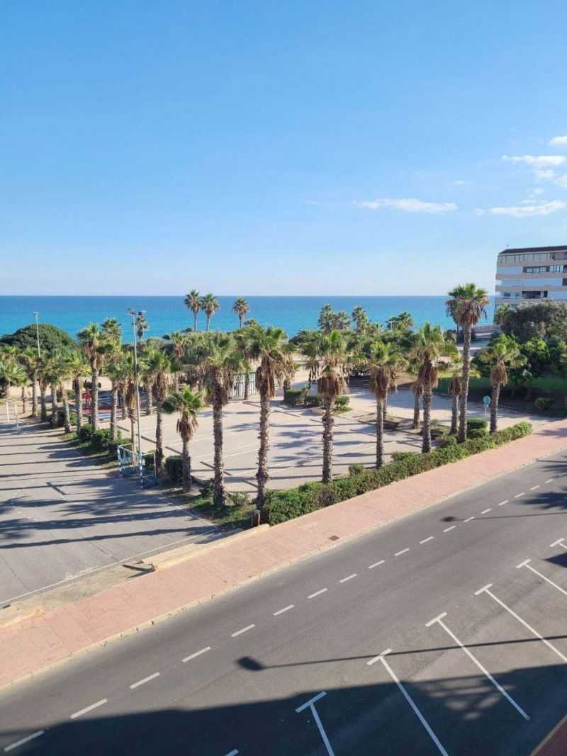 Apartmán 3+kk Torrevieja-Cabo Cervera, Španielsko - 14