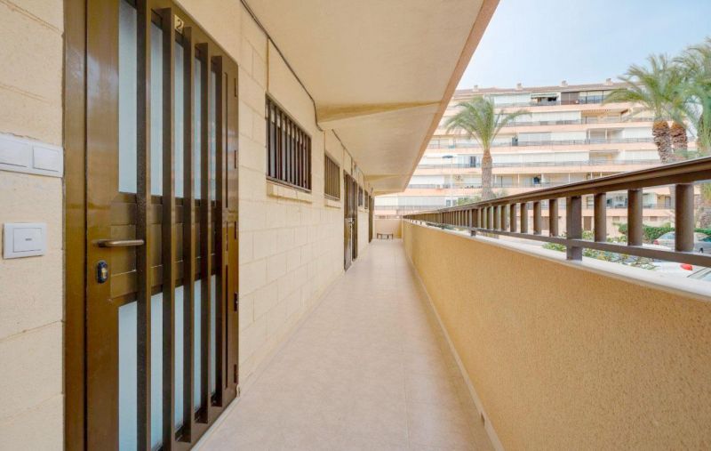 Apartmán 2+kk Torrevieja-Cabo Cervera, Španielsko - 7