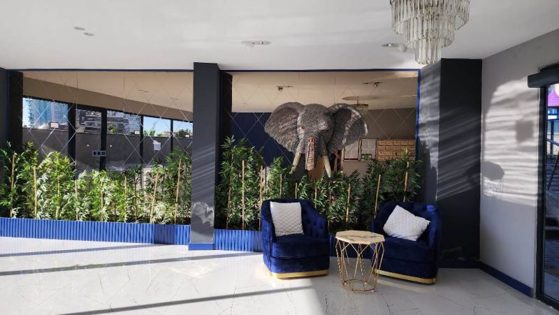 Komfortný apartmán na predaj v kľudnej štvrti Alanya Mahmutlar APM - 3